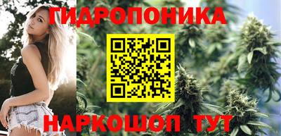 молекула духа Ливны